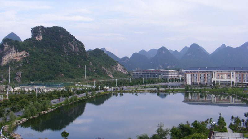 电子代理商的崛起：揭秘成功加盟背后的秘密**