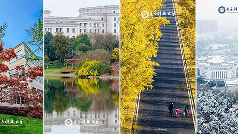 高压二极管耐压值参数表：揭秘关键指标与选型逻辑