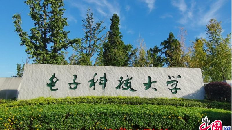 行业背景：电子产品市场的蓬勃发展